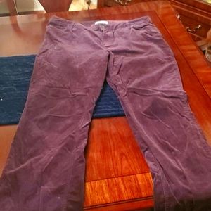 Purple Coldwater Creek Cords Size 14